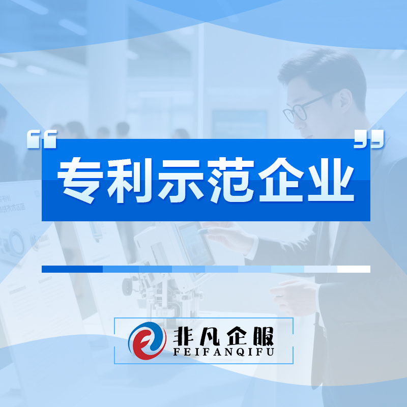 专利示范企业